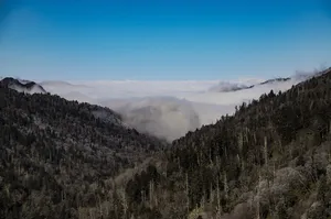 Smoky Mountain Scenes (49)