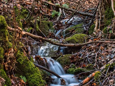 creek-2